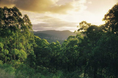 3 Kings Bed And Breakfast - Hotel Accommodation 4